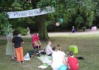 Picnic in the Park summer 2010